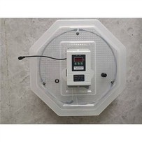 Inkubator za piščančja in račja jajca